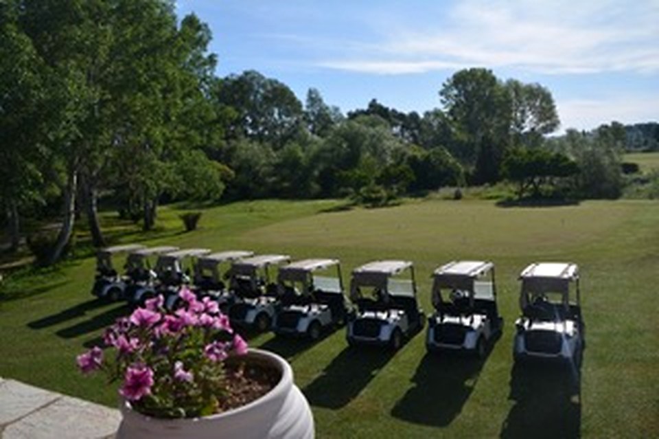 Buggies lined up before the round